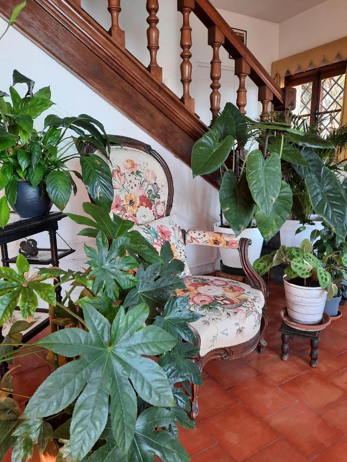 Soutariba Bed and Breakfast Roquebrune-Cap-Martin Eksteriør billede
